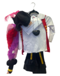 Captain Feathersword Costume