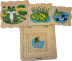 Tadpole to Frog Layer Puzzle