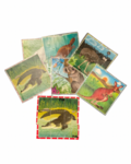 Australian Animal Block Puzzle