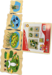 Tadpole to frog layer puzzle
