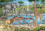 African Waterhole Puzzle
