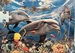 Dolphin and Ocean Puzzle