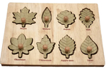 Montessori Leaf Puzzle